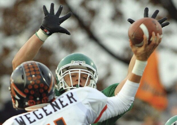 AllemanFB112010js